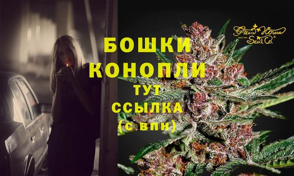 мдпв Верхний Тагил