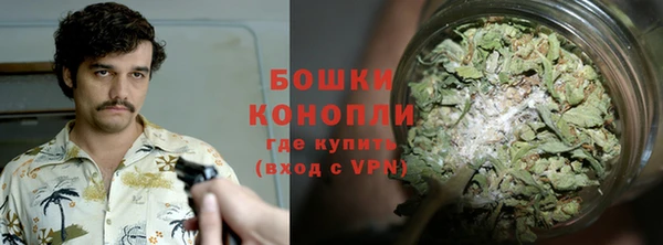 мдпв Верхний Тагил