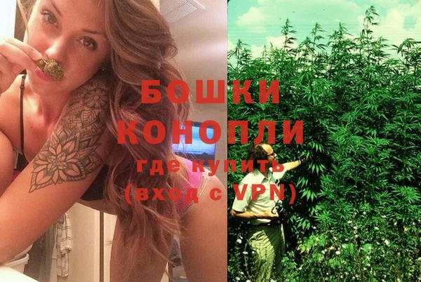 мдпв Верхний Тагил
