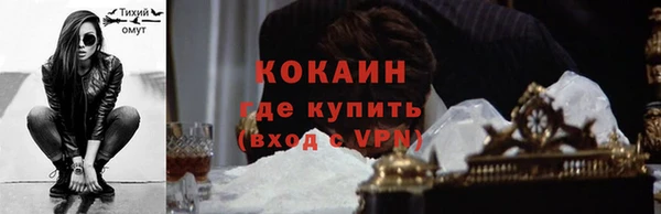 мдпв Верхний Тагил