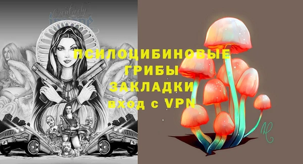 крисы Верея