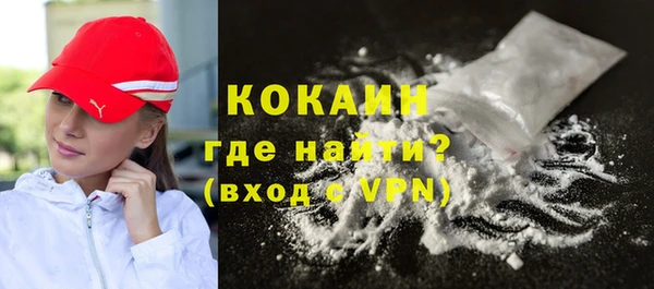 ECSTASY Бородино