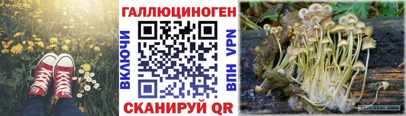 купить наркотики сайты  Камбарка  Галлюциногенные грибы Magic Shrooms 