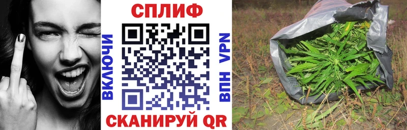 Каннабис планчик Камбарка